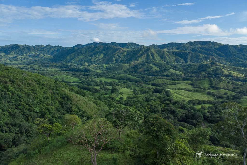 Land in Cambutal - Gallery image 2