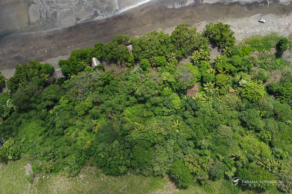 Land in Guanico - Gallery image 12