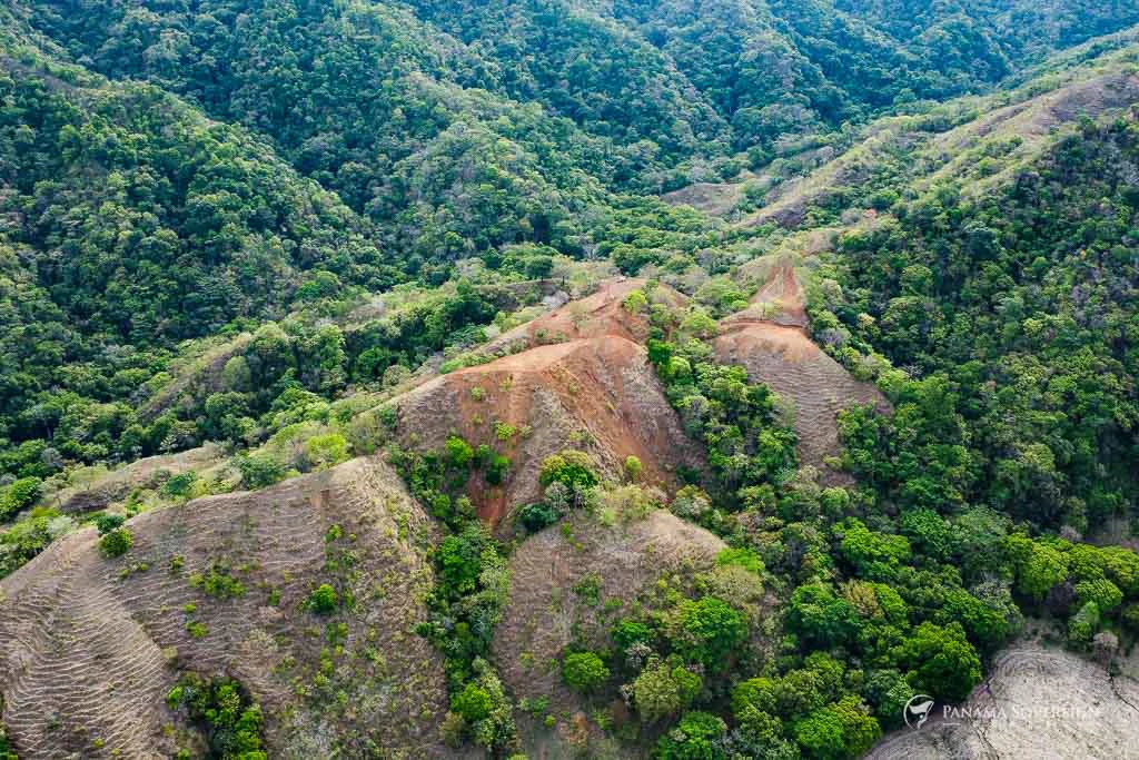 Land in Cambutal - Gallery image 18