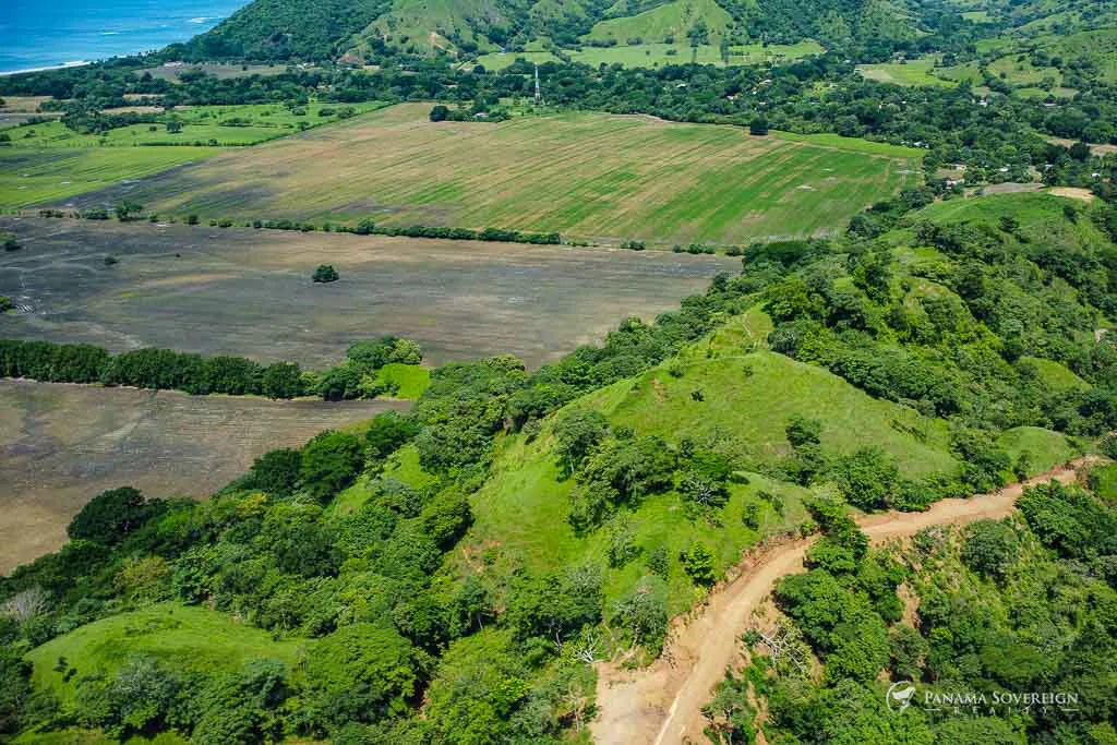 Land in Cambutal - Gallery image 5