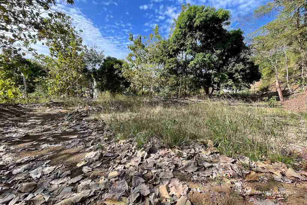 Land in Cambutal - Gallery image 11