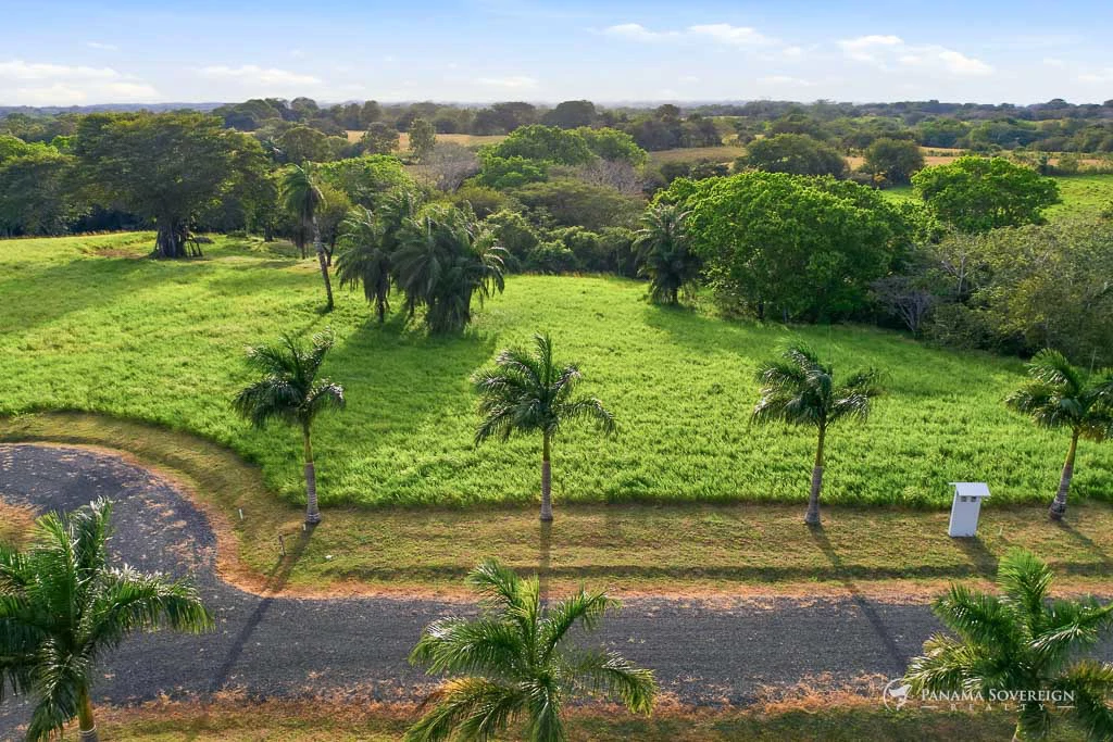 Land in Pedasi - Gallery image 8