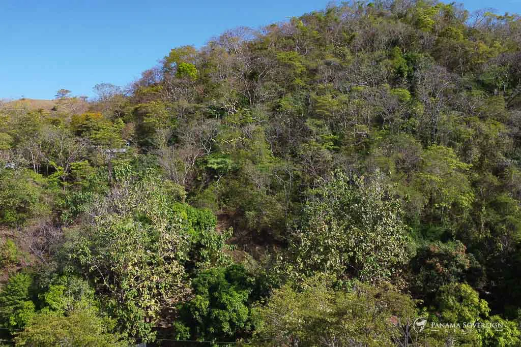 Land in Cambutal - Gallery image 7