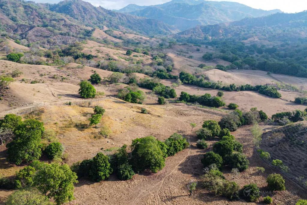 Land in Cambutal - Gallery image 4