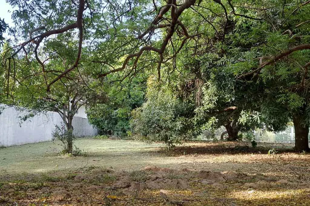 Land in Coronado - Gallery image 15