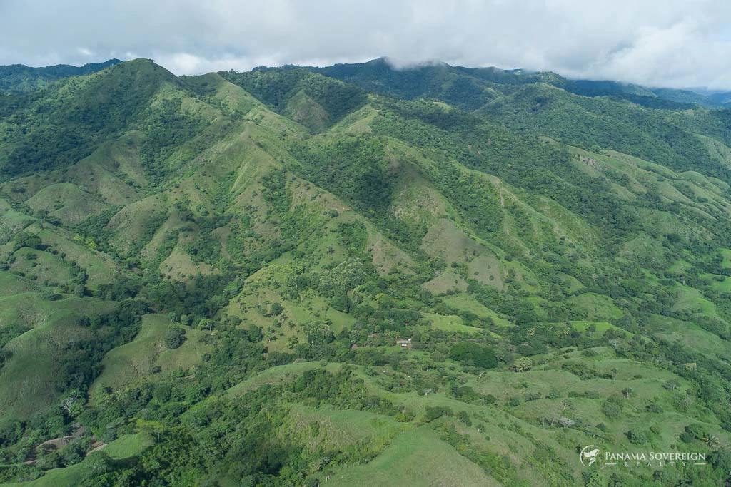 Land in Cambutal - Gallery image 7