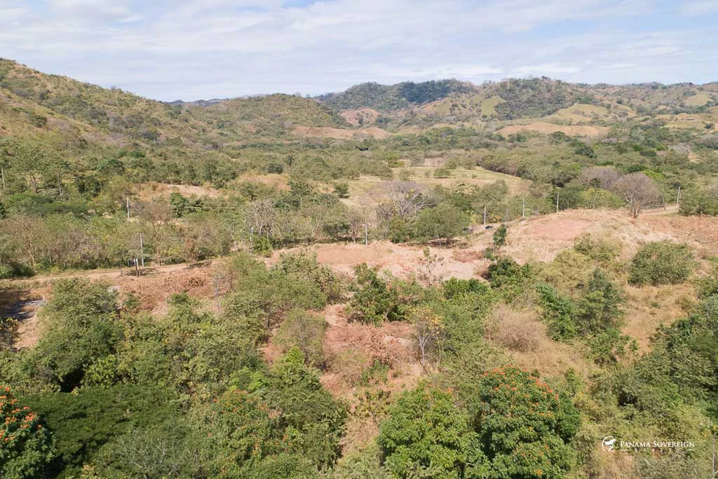 Land in Canas - Gallery image 11