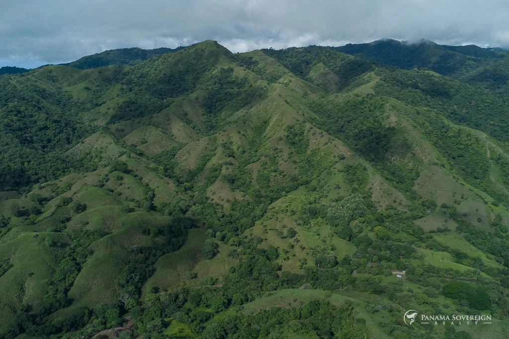 Land in Cambutal - Gallery image 8