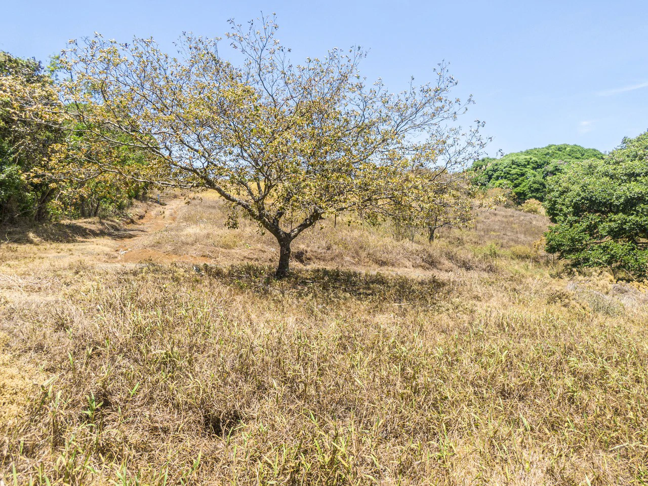 Land for development 10 hectares - Gallery image 5
