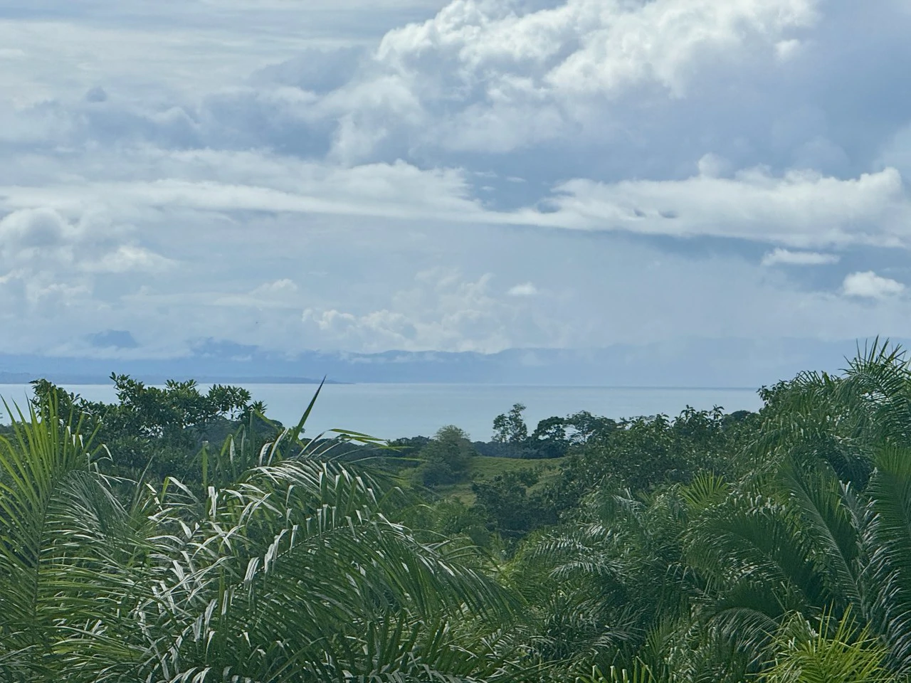1.45 ACRES – Ocean View Property With Creek And Public Road Frontage, 12 Min To Beach And Surf!!! - Gallery image 2