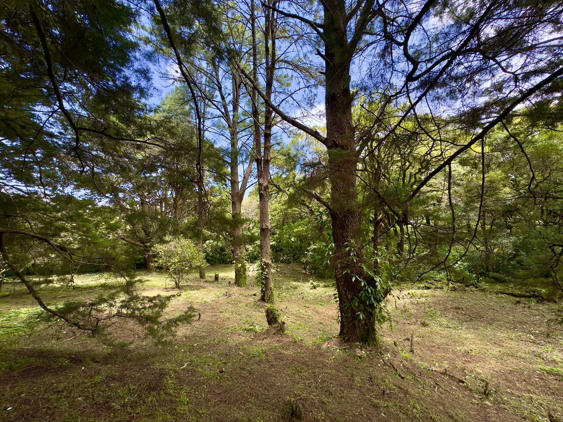 Live in harmony with nature in San Rafael de Heredia - Gallery image 11