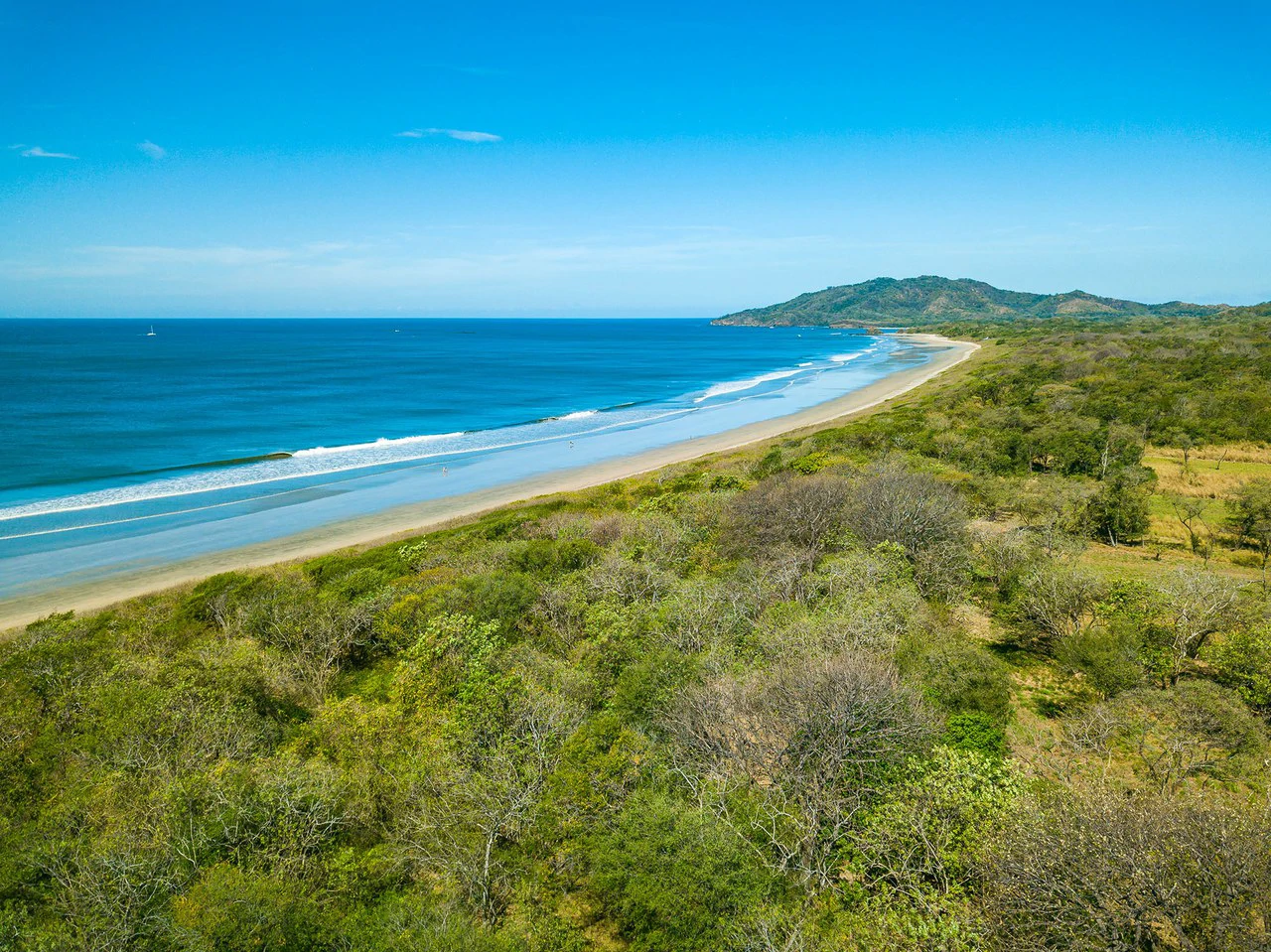 Playa Grande Lot #1: Titled Beachfront Estate Lot Playa Grande - Gallery image 17