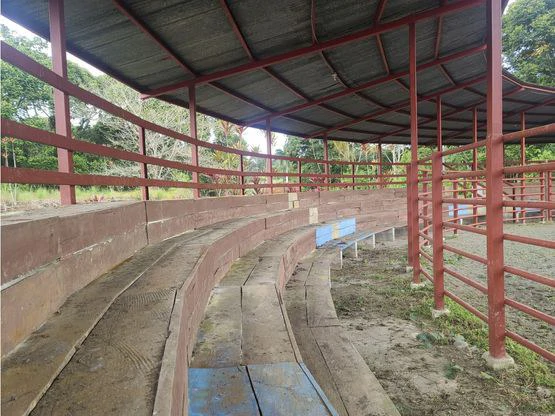Serene Jungle Farm in Limon Province - Gallery image 54