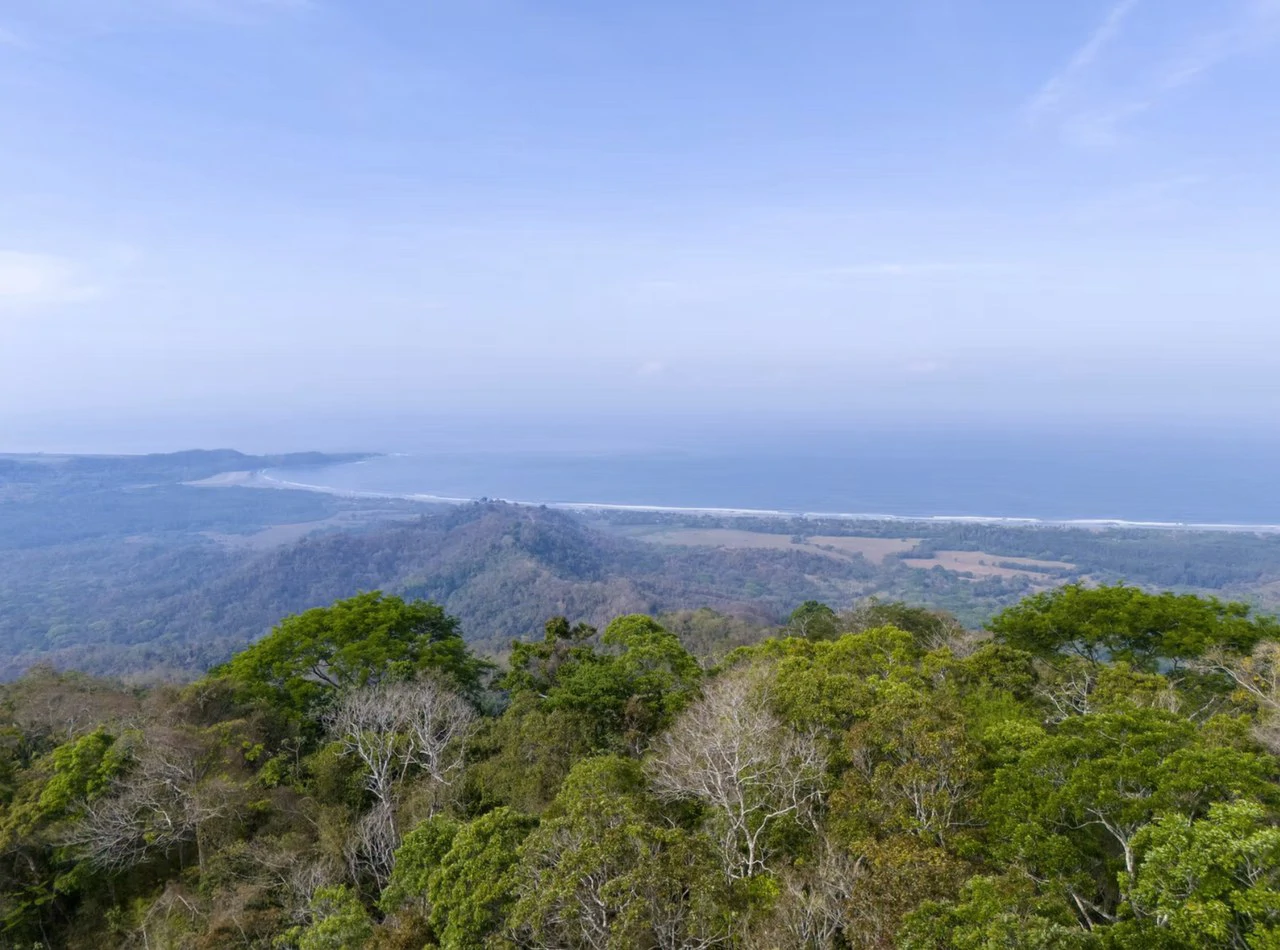 Ocean view farm for sale Costa Rica San Miguel Beach Costa de Oro - Gallery image 2