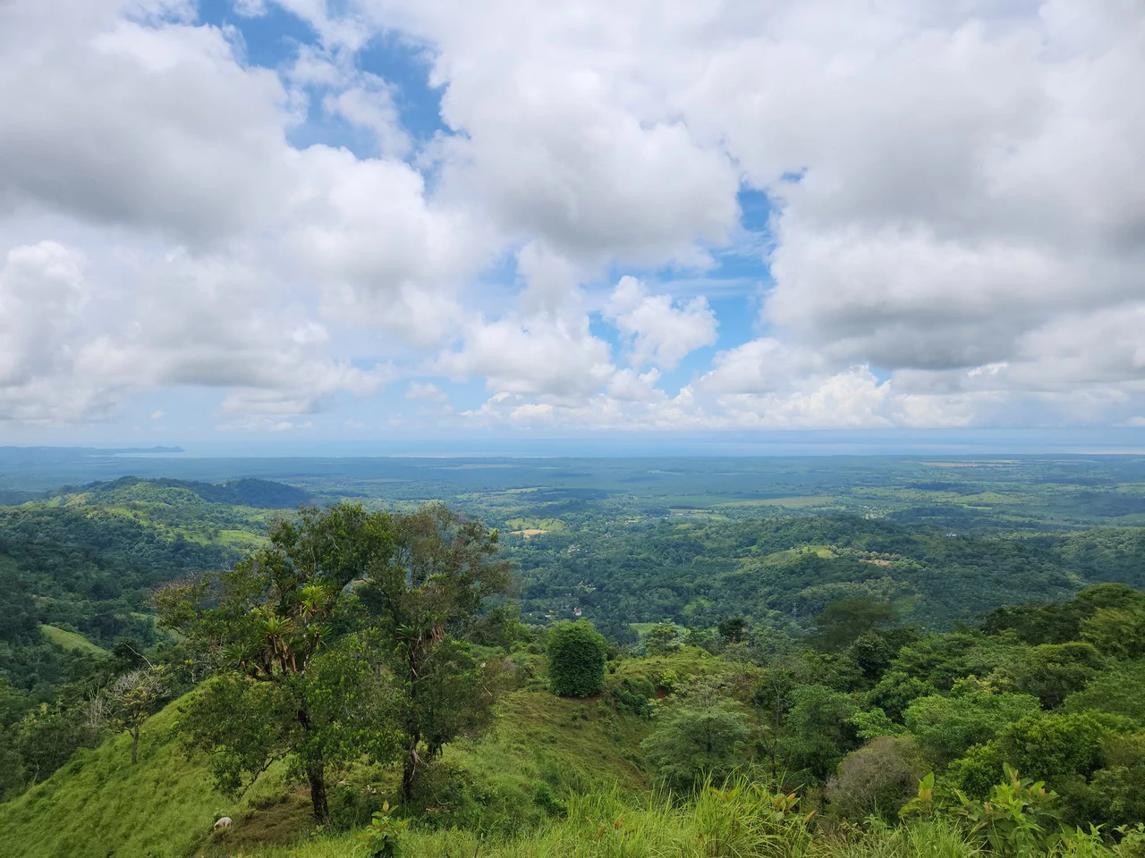 PRIME PARRITA FARM FOR SALE - Gallery image 54