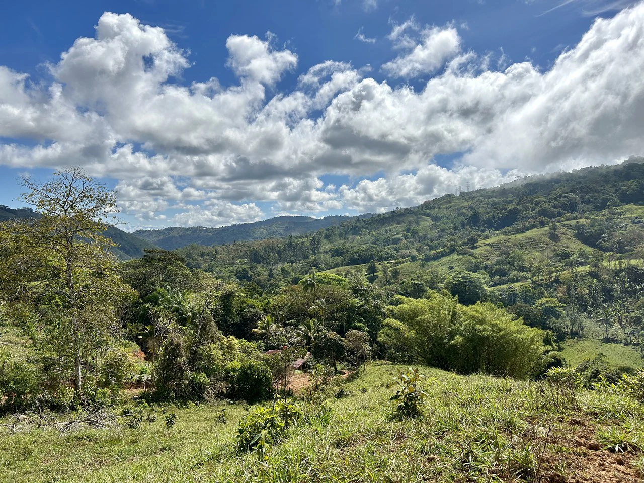 Finca Ceibo Memo: Mountain Home Construction Site For Sale in San Isidro del General - Gallery image 40