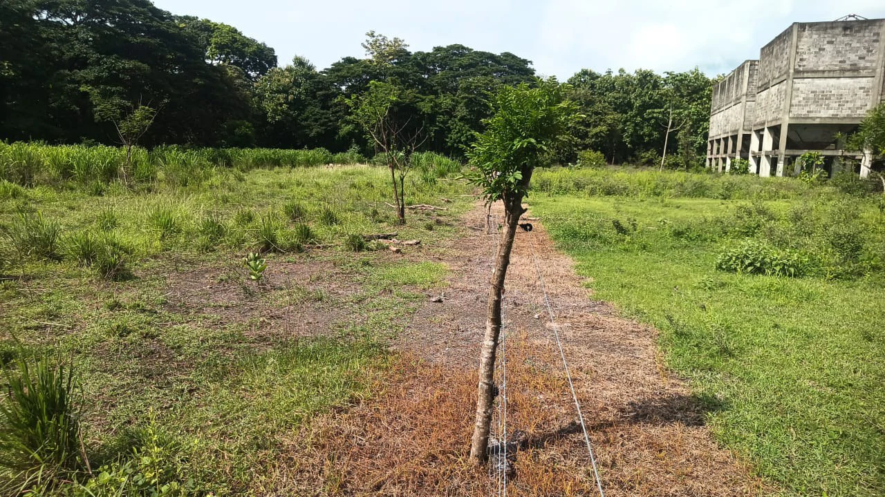 Industrial Property Complex for Sale – Prime Location on Route #21, Just 5 Minutes from Liberia International Airport - Gallery image 9