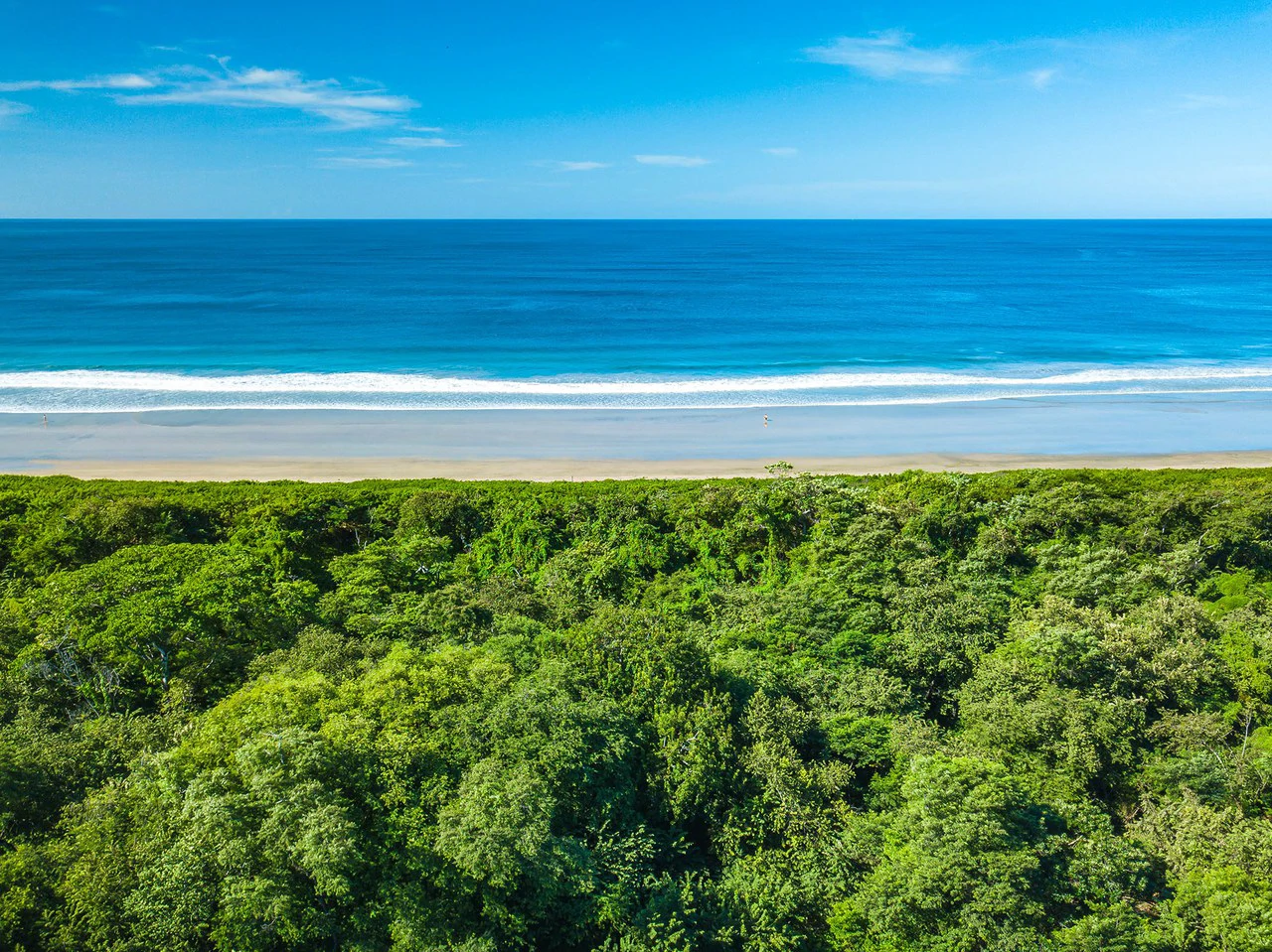 Playa Grande Beachfront Development Property - Gallery image 10