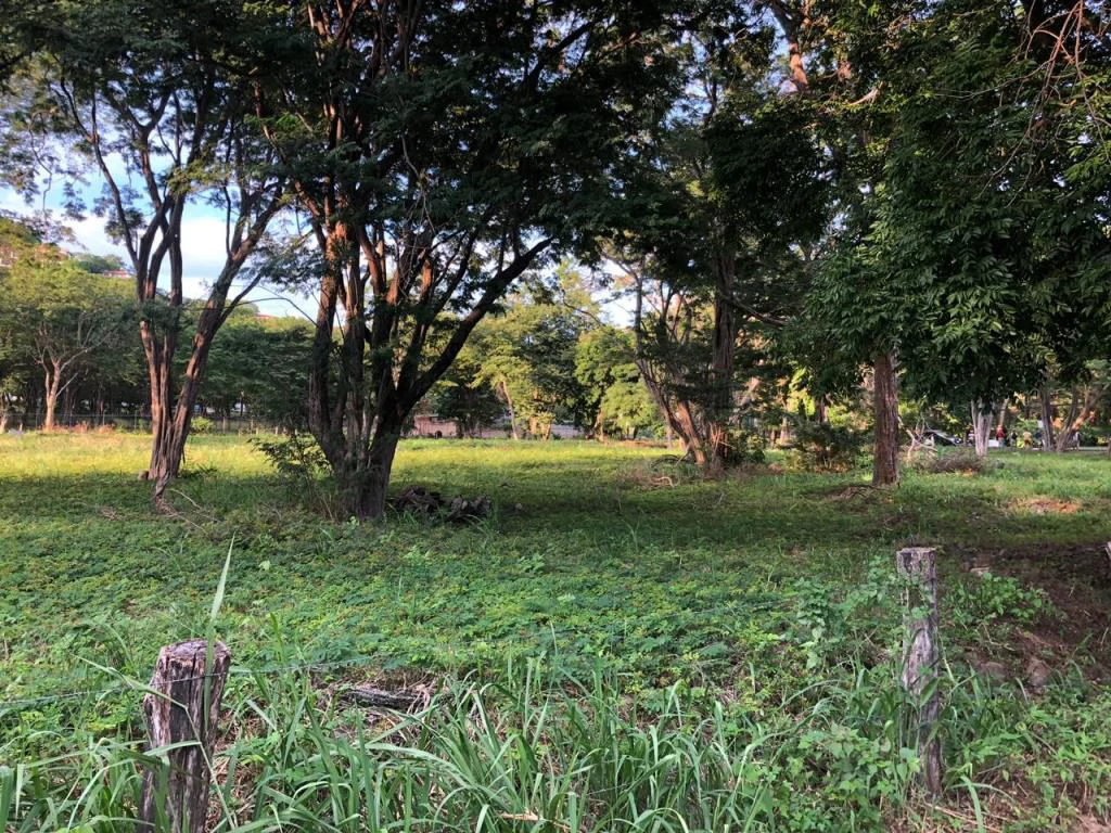 Large Commercial Property in Playa Hermosa, Guanacaste, Costa Rica - Gallery image 3