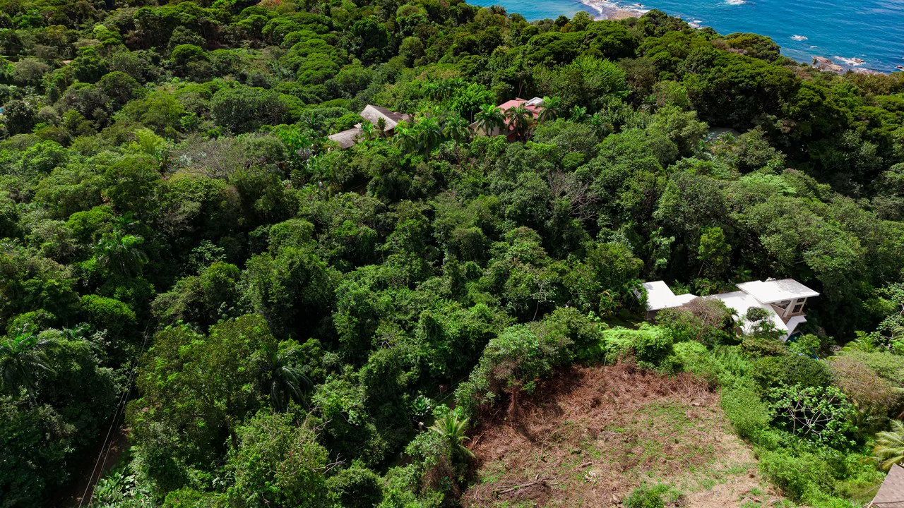 Luxury Ocean View Homesite in Escaleras Playa Dominical - Gallery image 10