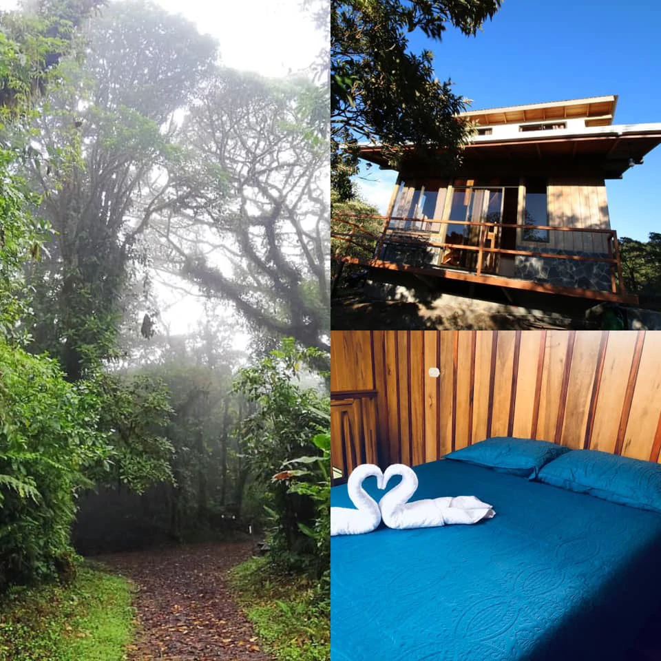 2 Acres with 4 houses Centrally located in Monteverde BV0224: Turn-Key Accommodations Business on 2 Acres Just 5 Minutes from Santa Elena – Surrounded by Nature, Ready to Grow - Gallery image 6