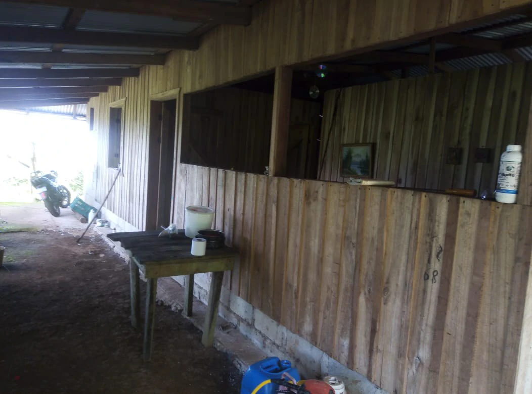 Agricultural farmland for sale in Aguas Claras, Alajuela, 1 house and many fruit trees - Gallery image 21