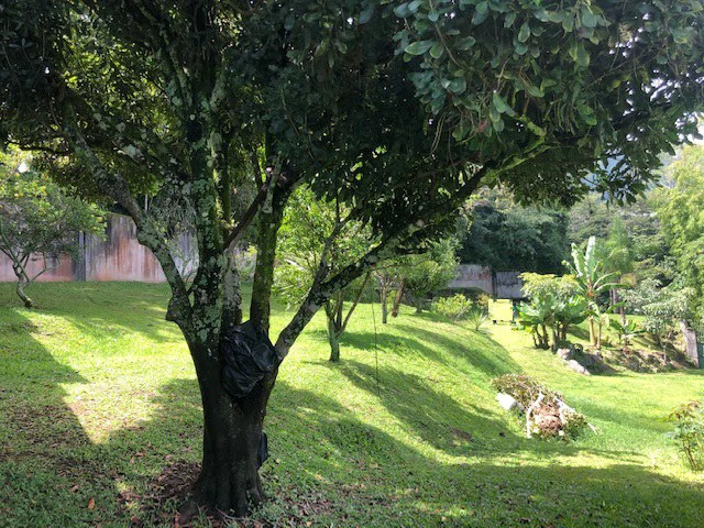 Property in the exclusive green area - San Antonio Escazú with a view of the valley - Gallery image 24