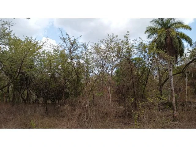 Amazing building property for sale 5 minutes away from Liberia center and 2 minutes walking to the Colorado River - Gallery image 16