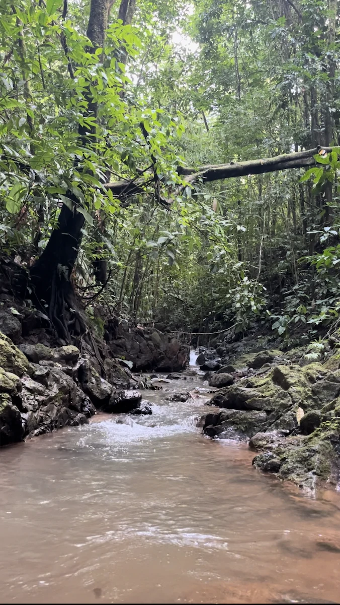 SPECTACULAR ECOLOGICAL MOUNTAIN FARM IN BIJAGUAL DE TURRUBARES - Gallery image 37