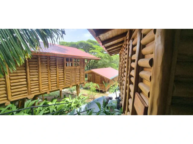 Countryside, Mountain and Near the Coast Property For Sale in Playa Samara - Gallery image 4