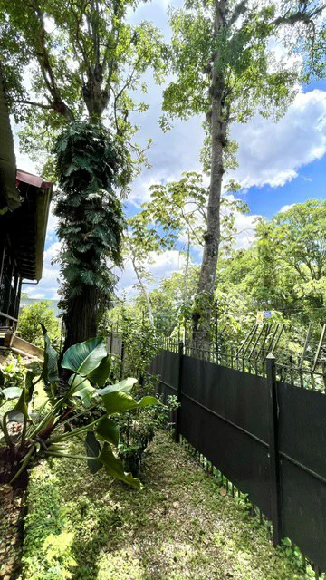 Casa Pinares: Rare 0.30-Acre Sprawling Garden Estate in Pinares, Curridabat | 1,241 m² Lot with Mature Trees, Protected Forest Views & 5,380 Sq. Ft. Build - photo 19