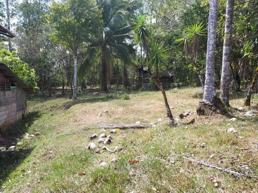 land for sale Alajuela San Carlos Pocosol Santa Maria Santa Rosa - Gallery image 4