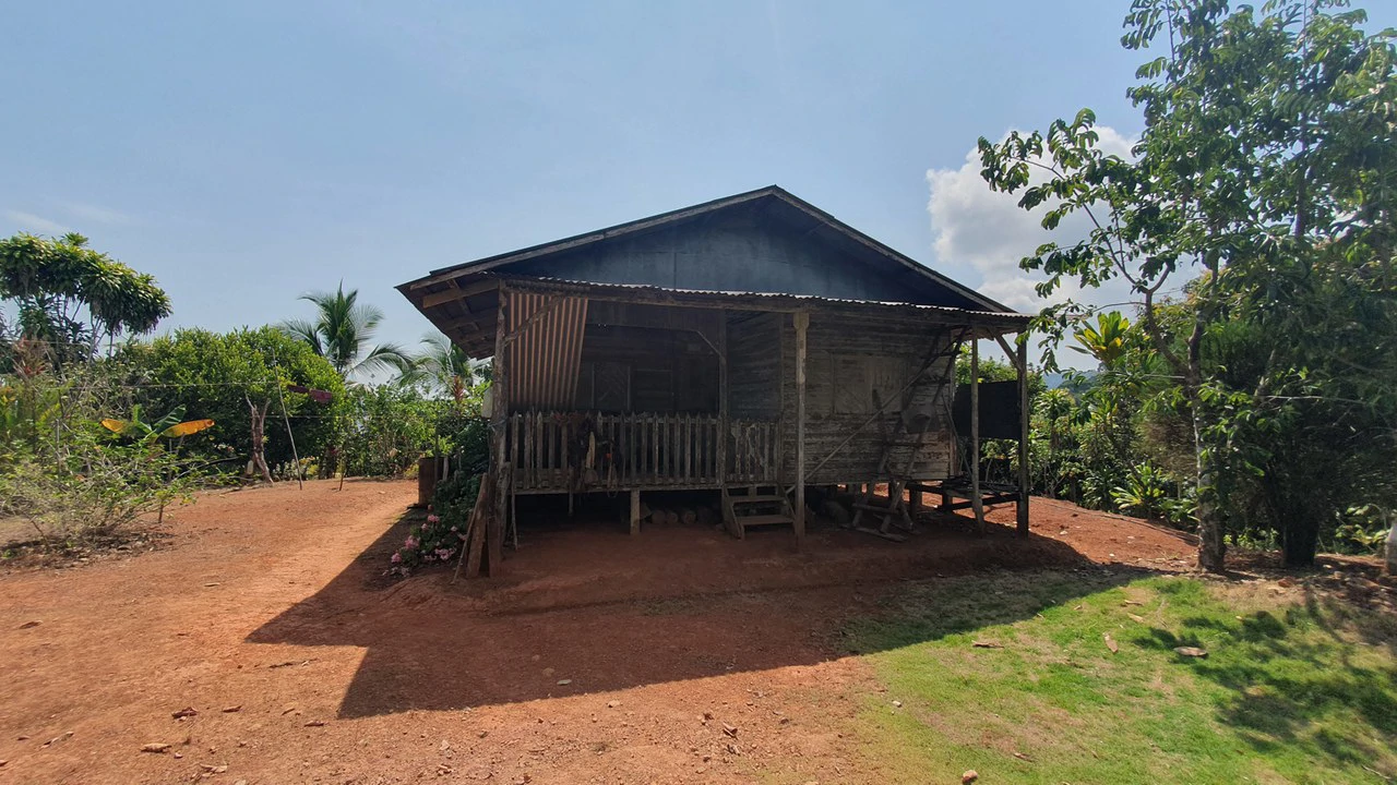 CONSERVATION AND DEVELOPMENT LAND WITH OCEAN VIEW IN SIERPE, COSTA RICA - Gallery image 38