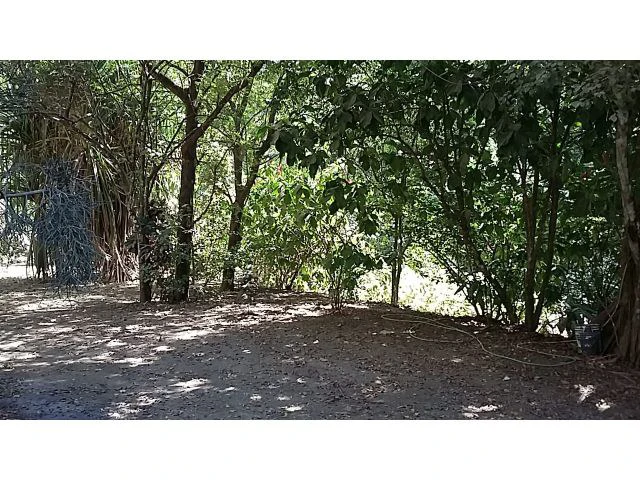 Property 20 minutes from Nosara with riverfront house for sale, San Juanillo beach - Gallery image 6