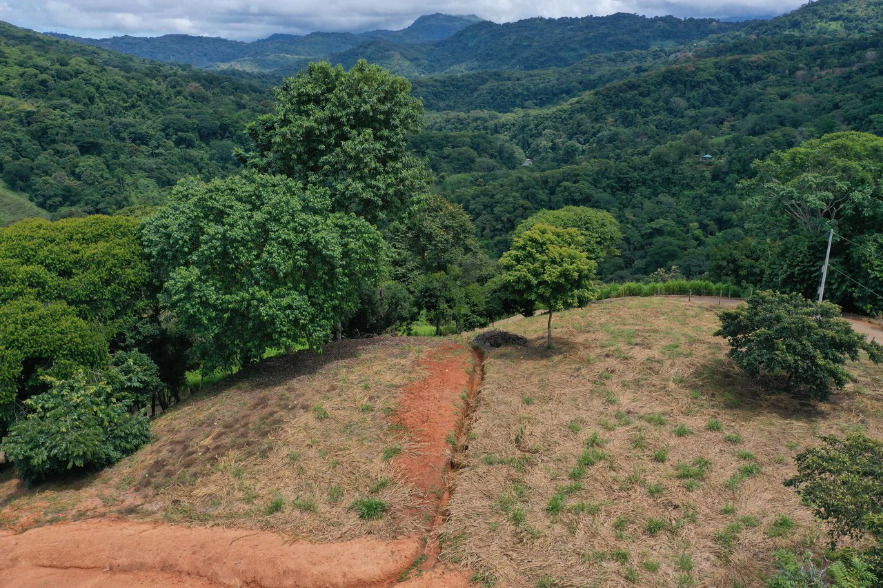 Playa Dominical Mountain Farming Property - Gallery image 6