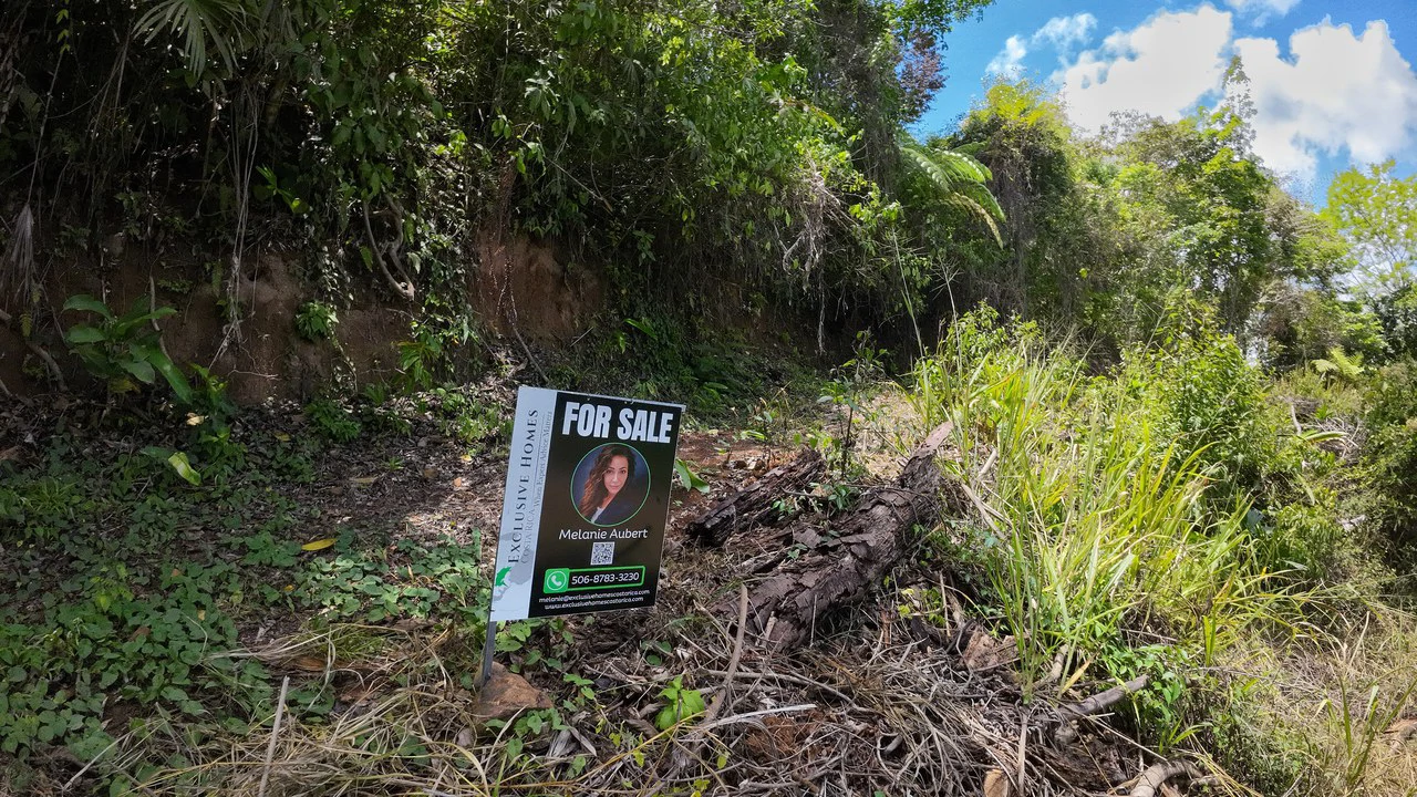 Ocean View Investment Opportunity - Gallery image 4