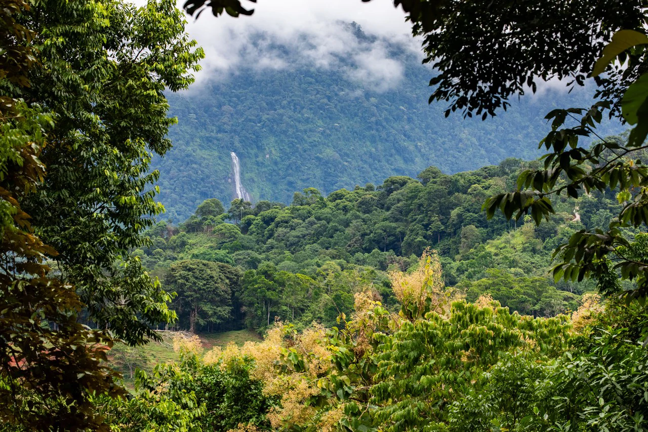 2.4 Acre Property In The Mountains Above Dominical with Waterfall Views - Gallery image 7