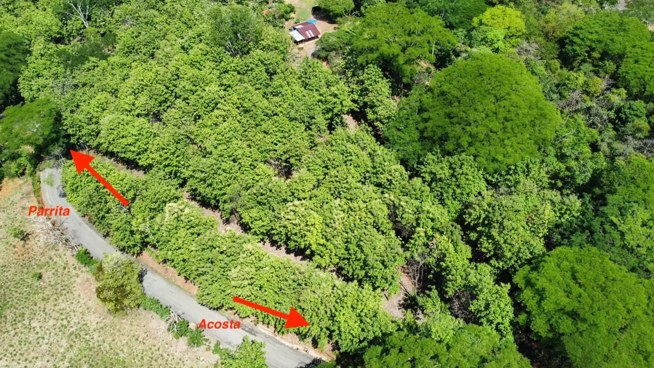 7-Hectare Farm with Teak Plantation, Existing Home & Eco-Development Potential Near Parrita, Costa Rica - Gallery image 22