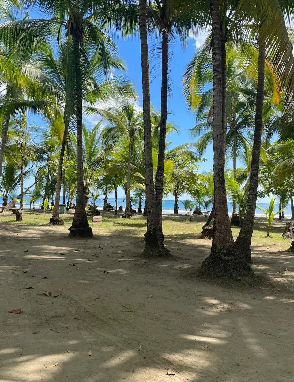 AZUL DEL MAR 14:$219,950 USD: NOW $185,000 USD with one-of-a-kind location with private beach, security, and amazing amenities!: Luxury resort-style living. Furnished and  Financing available - Gallery image 20