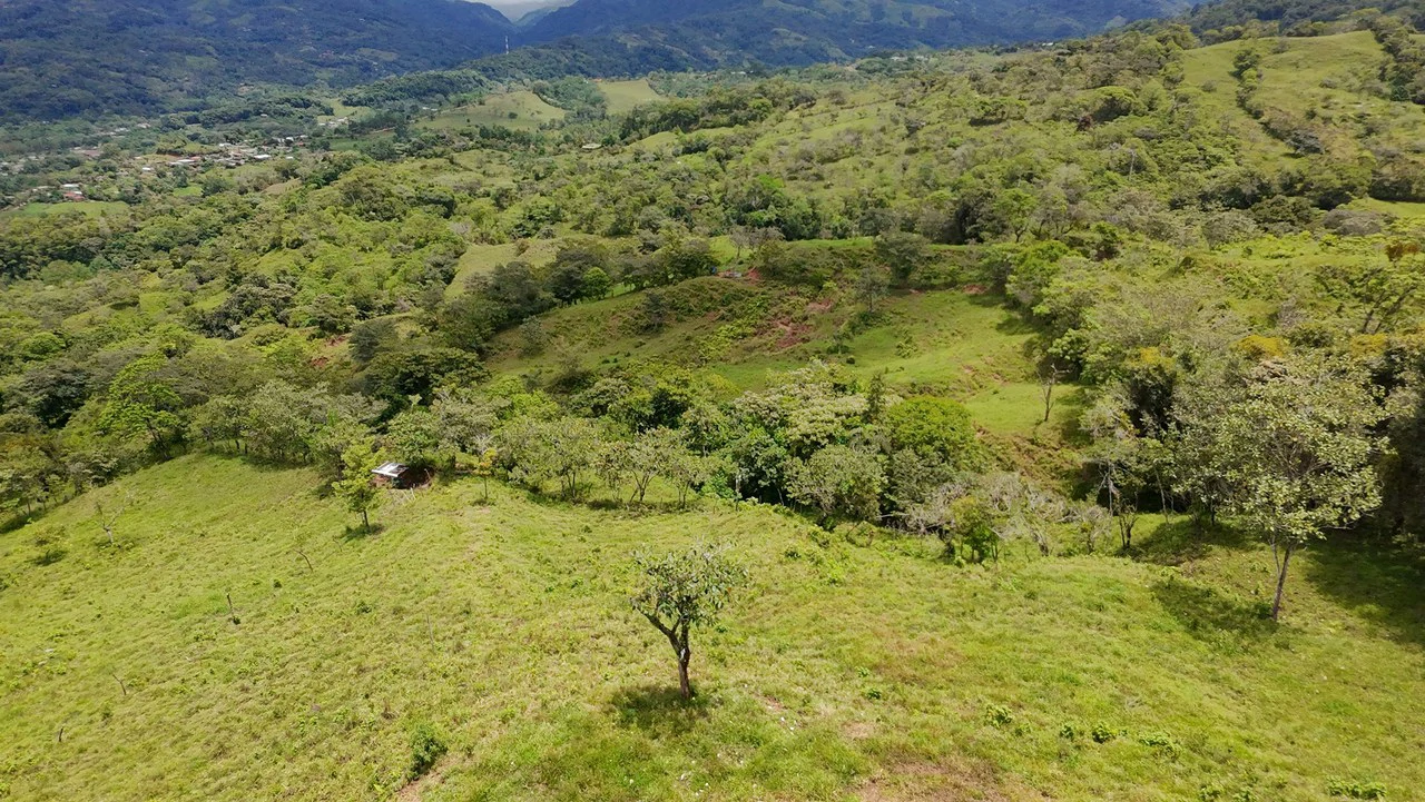 Countryside Home Construction Site For Sale in General Viejo - Gallery image 3