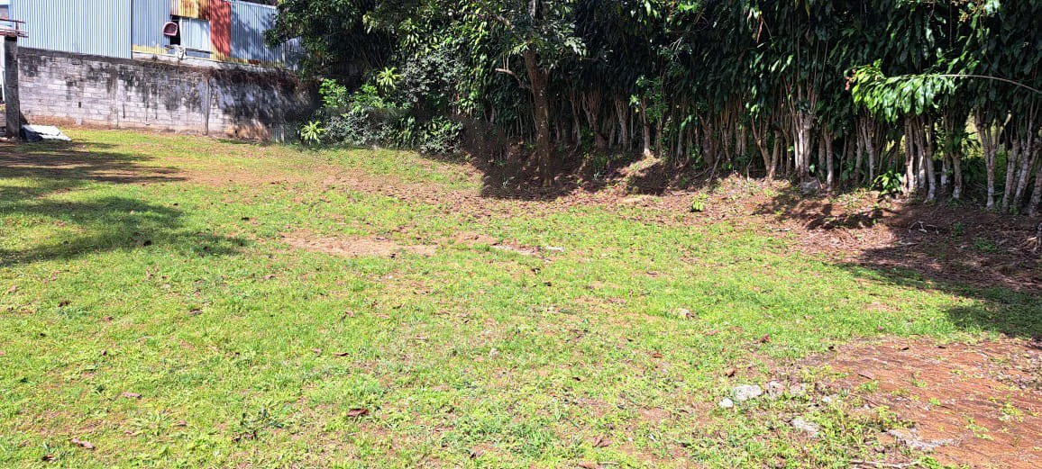 Land for Sale in Sarchí, Alajuela - Gallery image 4