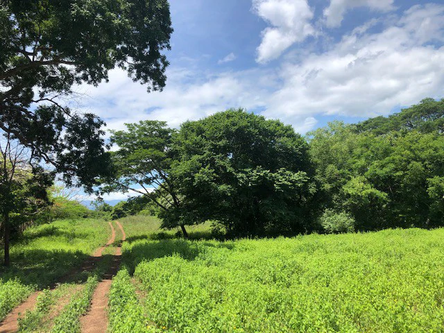 Amazing 50% discount for Huge ocean-view farm for sale surrounded by soft rolling hills and pristine nature - Gallery image 12