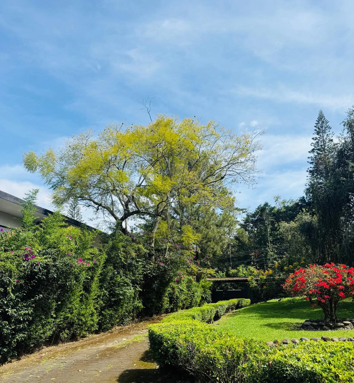 Detached single-family home for sale Costa Rica Escazu with big garden - Gallery image 24