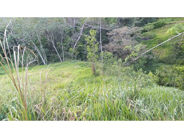 Exclusive lot for sale in Hojancha's green, tropical, rolling mountains, just 3 minutes from town - Gallery image 2