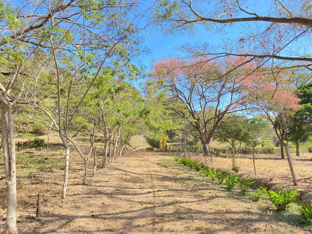 Ocean View Lot for Sale Guanacaste Costa Rica San Miguel Beach Tittled - Gallery image 14