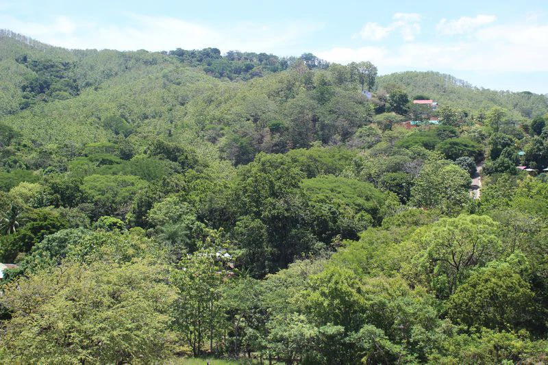 Lotes Alto Domingo - 5 Spacious Residential Lots with Forest and Mountain Vistas, Just 10 Minutes from the Beach: Mountain Home Construction Site For Sale in Sámara - Gallery image 7