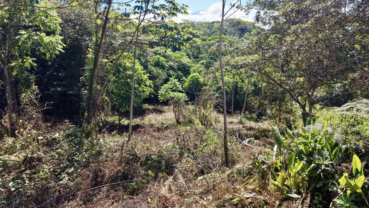 Home Construction Site For Sale in Pavones - Gallery image 34