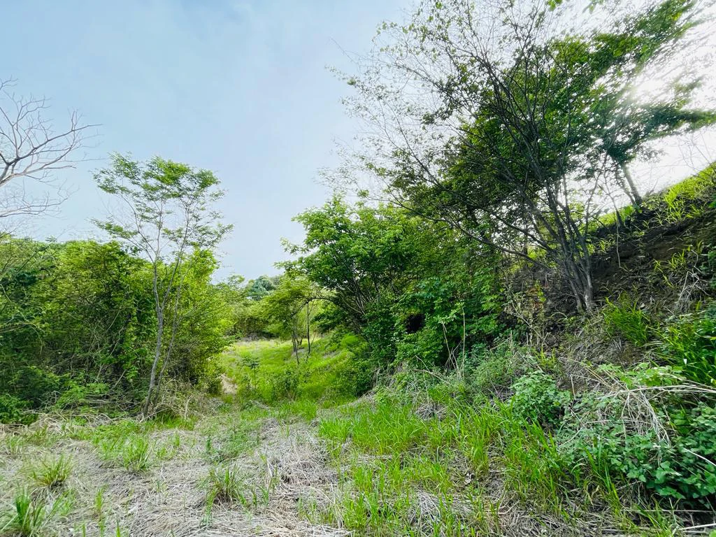 Ocean view lot for sale San Miguel beach Coyote Costa Rica - Gallery image 9