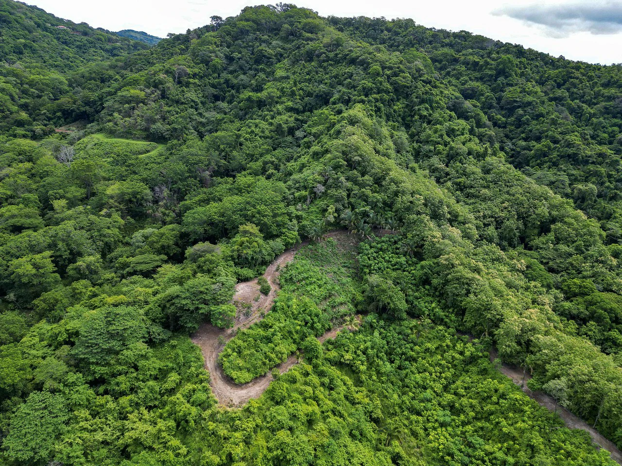 Finca Montana: 125 Acre Finca With Stunning Ocean Views - Gallery image 2