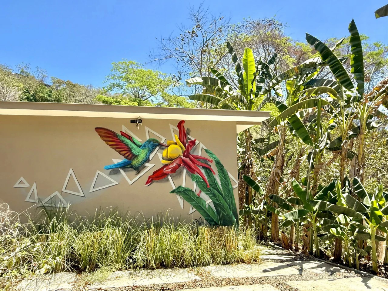 Casa Kolibri: A Private Coastal Escape Near Playa Órganos  Only $195,000 USD! - Gallery image 12